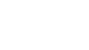 LDV Innovation